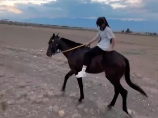 红衣国产骑马美女视频,国产视频中的民族风情演绎