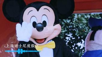 国产飞机声音视频播放,领略中国航空工业的震撼魅力